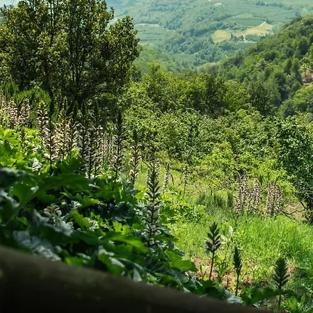 Gasthof Ghigorotto, Suite&villa