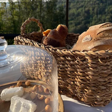 Gasthof Ghigorotto, Suite&villa Benevello