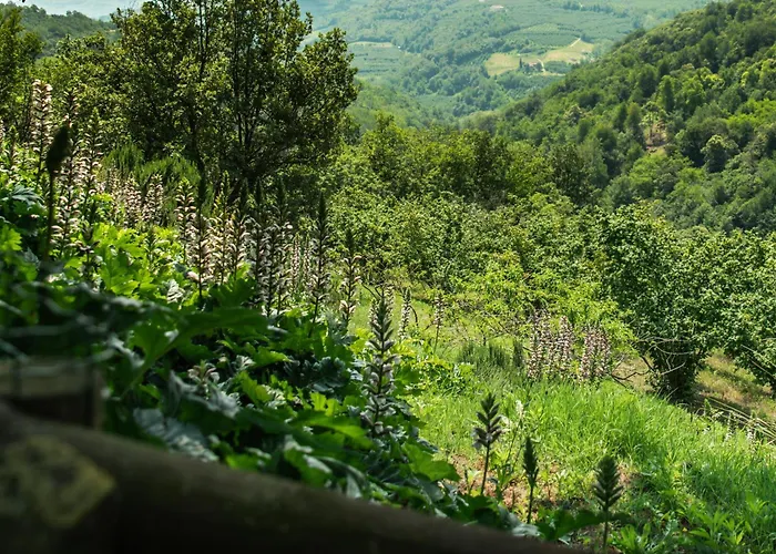 Guest house Ghigorotto, Suite&villa